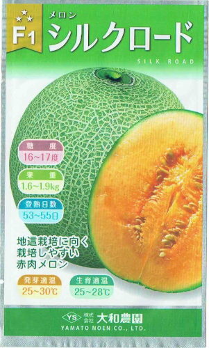 大和農園　メロン　シ