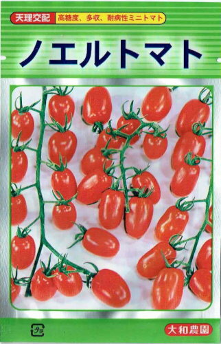 大和農園　ノエルトマト　約18粒【郵送対応】