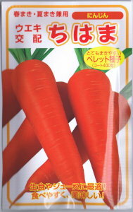 横浜植木 人参・ちはま コート種子 約400粒 【郵送対応】