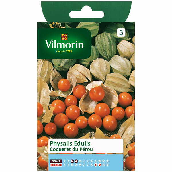 【Vilmorin社】食用ホオズキ Coqueret du Perou［V-Physalis1］【郵送対応】
