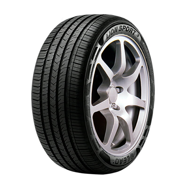 LEAO 295/30R26 107W XL LION SPORT 3