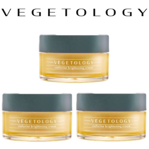 【VEGETOLOGY公認店】 VINIFERIN BRIGHTENING CREAM ビニフェリン ブライトニング クリーム 3点セット 国内発送 韓国コスメ...