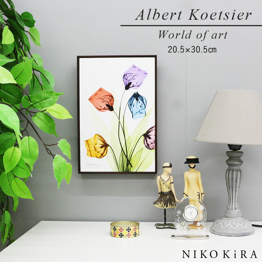 【LINE登録300円OFFクーポン】 絵画 お花 花柄 植物 花 観葉植物 名画 アート 絵 壁掛け 額入り 風景画 油絵 おしゃれ RAY キャンバスアート...