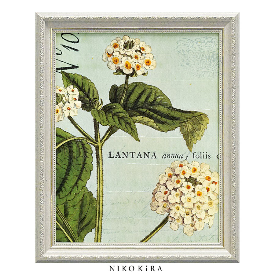 【LINE登録300円OFFクーポン】 おしゃれ アート モダン 絵画 額入り 玄関 トイレ かわいい 絵 花 はな 油絵 おしゃれ ワイルド アップル スタジ...