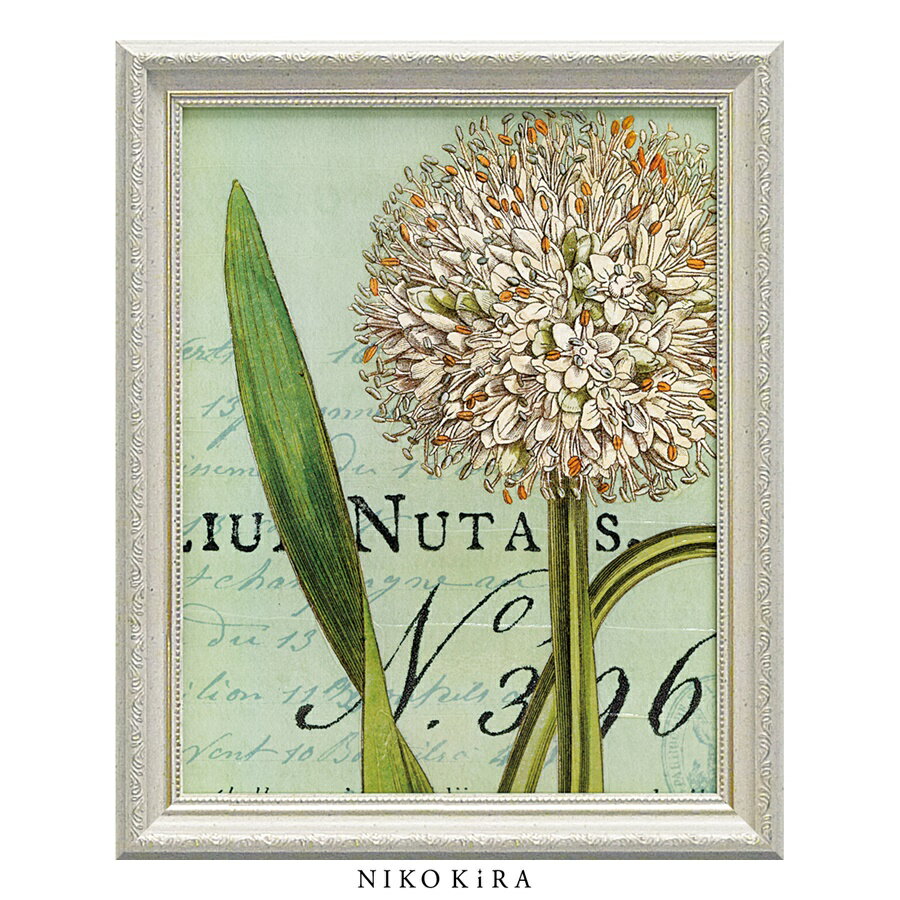 【LINE登録300円OFFクーポン】 おしゃれ アート モダン 絵画 額入り 玄関 トイレ かわいい 絵 花 はな 油絵 おしゃれ ワイルド アップル スタジ...