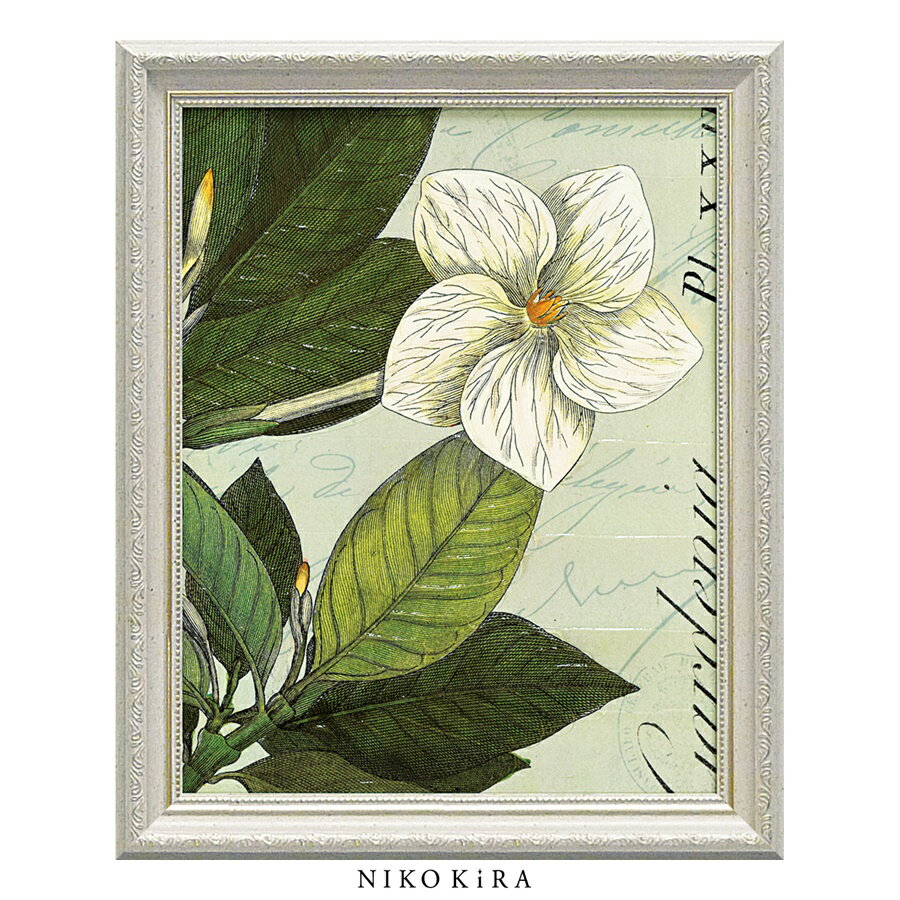 【LINE登録300円OFFクーポン】 おしゃれ アート モダン 絵画 額入り 玄関 トイレ かわいい 絵 花 はな 油絵 おしゃれ ワイルド アップル スタジ...