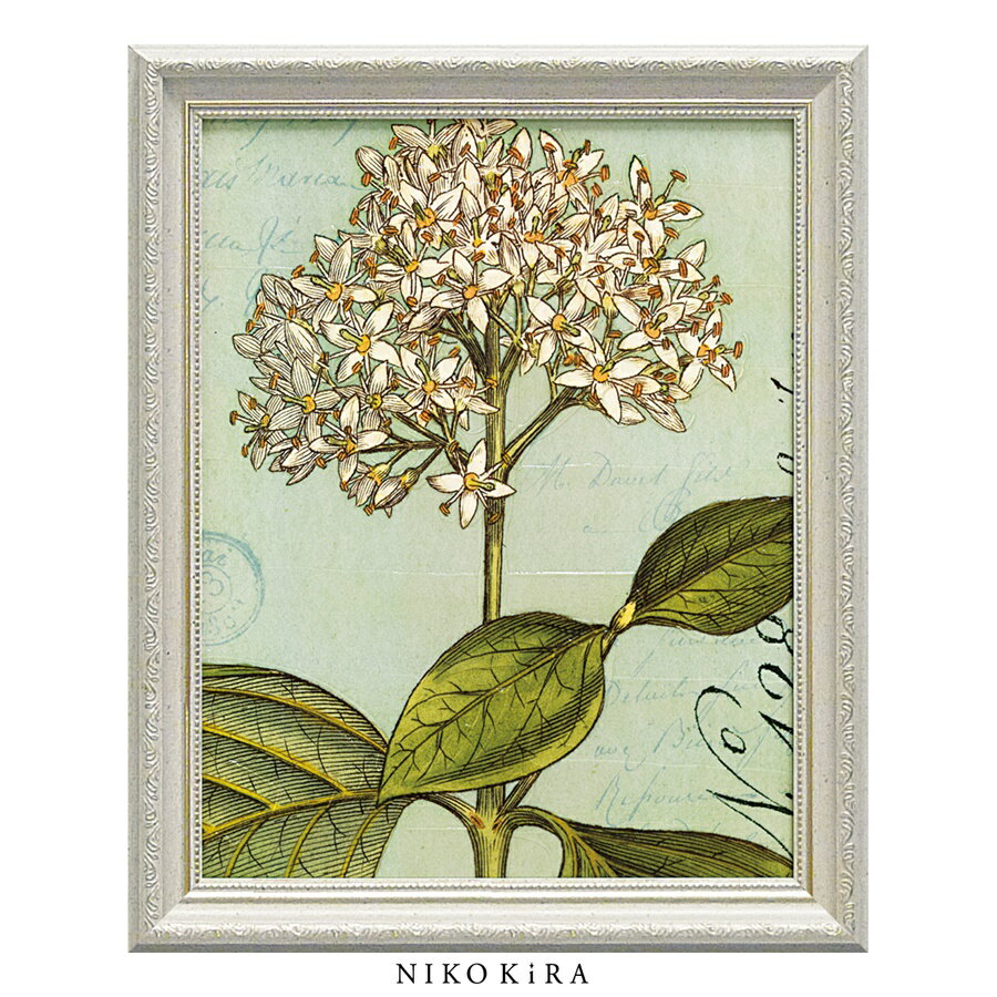 【LINE登録300円OFFクーポン】 おしゃれ アート モダン 絵画 額入り 玄関 トイレ かわいい 絵 花 はな 油絵 おしゃれ ワイルド アップル スタジ...