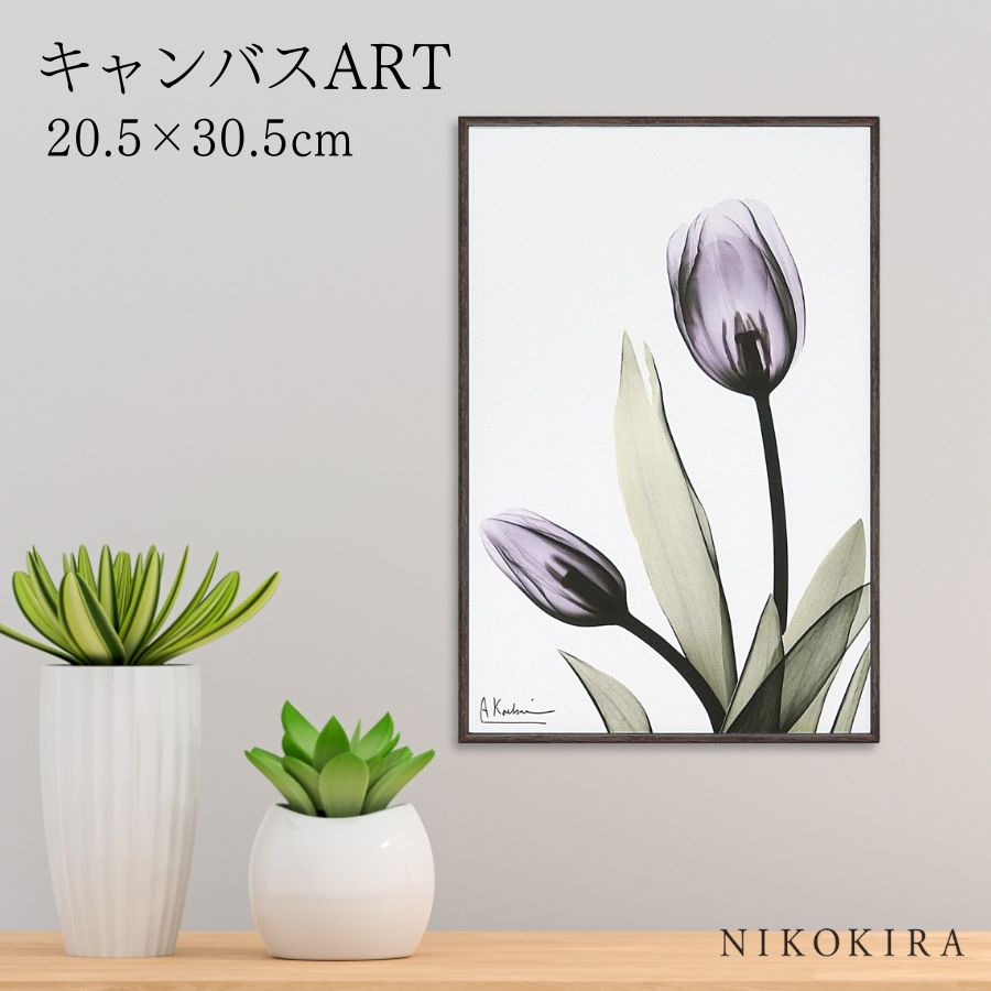 【LINE登録300円OFFクーポン】 絵画 アート アートパネル アートポスター 名画 X RAY キャンバスアート チューリップ Sサイズ アルバート クー...