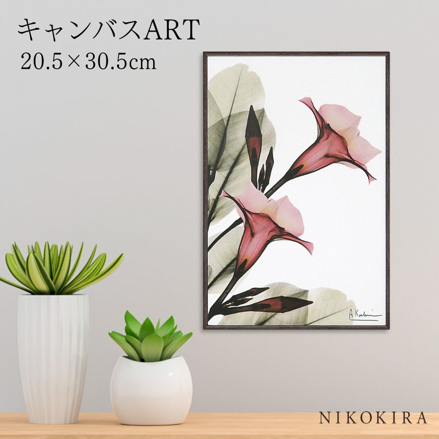 【LINE登録300円OFFクーポン】 絵画 アート アートパネル アートポスター 名画 X RAY キャンバスアート トランペット フラワー Sサイズ アルバ...