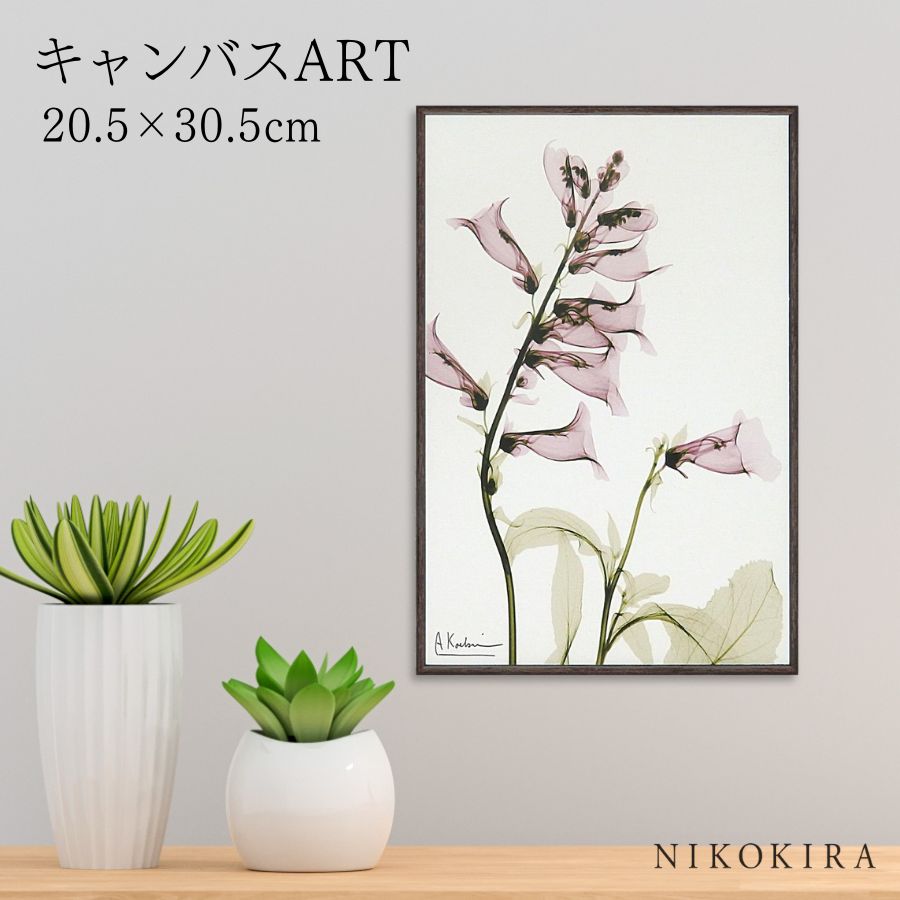 【LINE登録300円OFFクーポン】 絵画 アート アートパネル アートポスター 名画 X RAY キャンバスアート サルビア Sサイズ アルバート クーツィ...