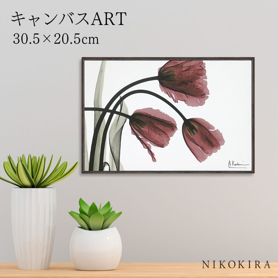 【LINE登録300円OFFクーポン】 絵画 アート アートパネル アートポスター 名画 X RAY キャンバスアート フリンジ チューリップ Sサイズ アルバ...