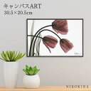 【P5倍+400円OFFクーポン】 絵画 アート アートパネル アートポスター 名画 X RAY キャンバスアート フリンジ チューリップ Sサイズ アルバート...