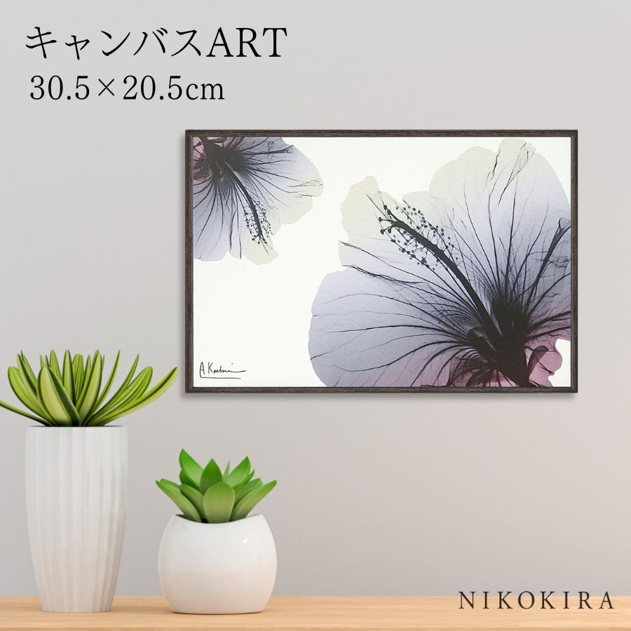 【LINE登録300円OFFクーポン】 絵画 アート アートパネル アートポスター 名画 X RAY キャンバスアート ハイビスカス Sサイズ アルバート クー...