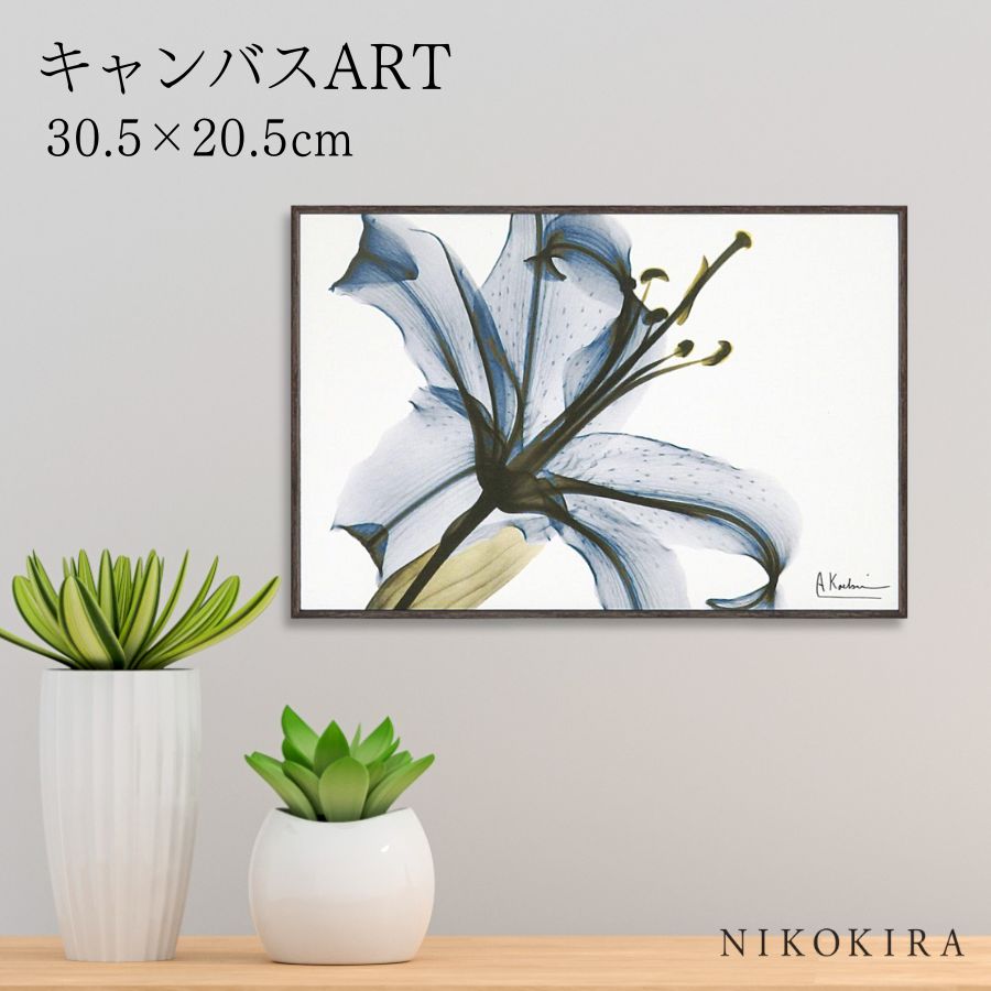 【LINE登録300円OFFクーポン】 絵画 アート アートパネル アートポスター 名画 X RAY キャンバスアート リリー Sサイズ アルバート クーツィー...