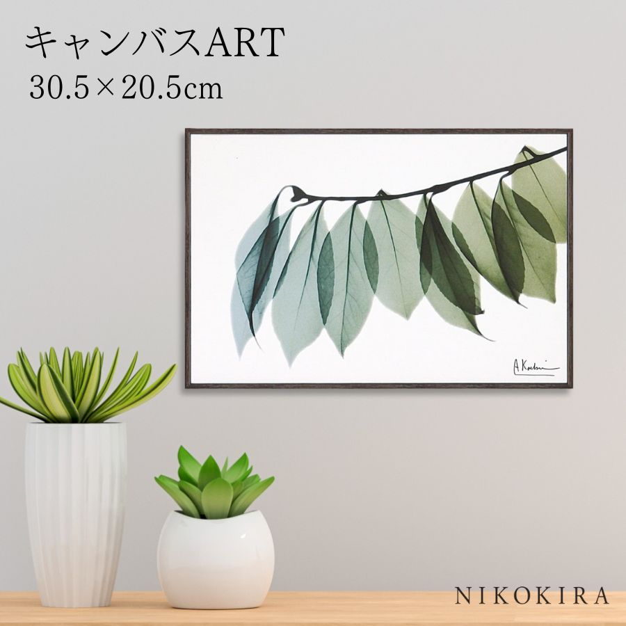 【LINE登録300円OFFクーポン】 絵画 アート アートパネル アートポスター 名画 X RAY キャンバスアート リーフ2 Sサイズ アルバート クーツィ...