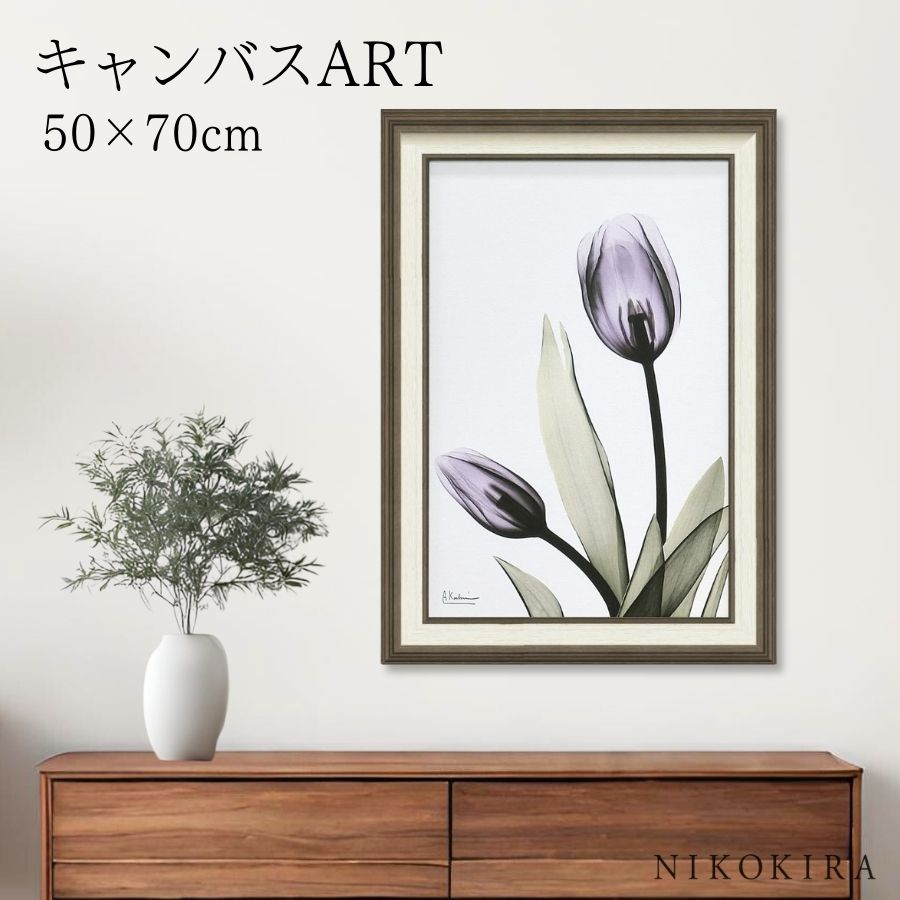 【LINE登録300円OFFクーポン】 絵画 アート アートパネル アートポスター 名画 X RAY キャンバスアート チューリップ Mサイズ アルバート クー...