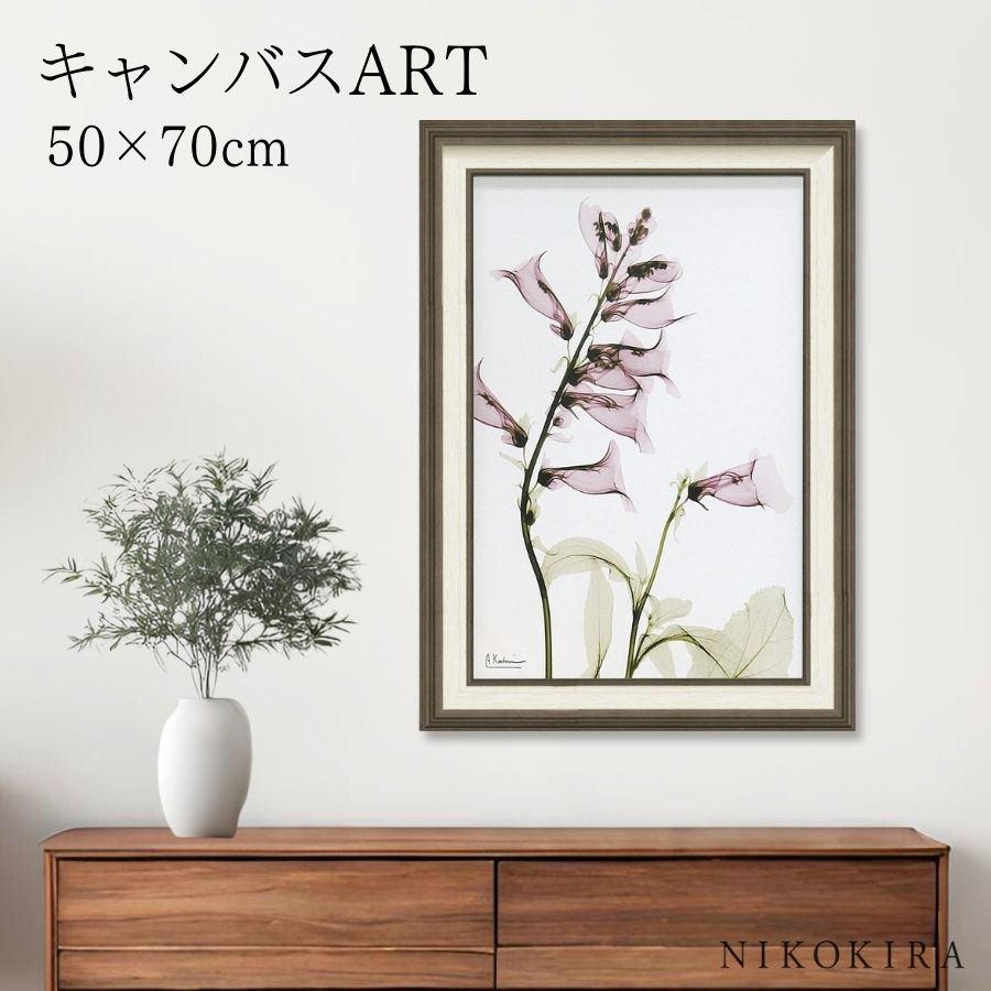 【LINE登録300円OFFクーポン】 絵画 アート アートパネル アートポスター 名画 X RAY キャンバスアート サルビア Mサイズ アルバート クーツィ...