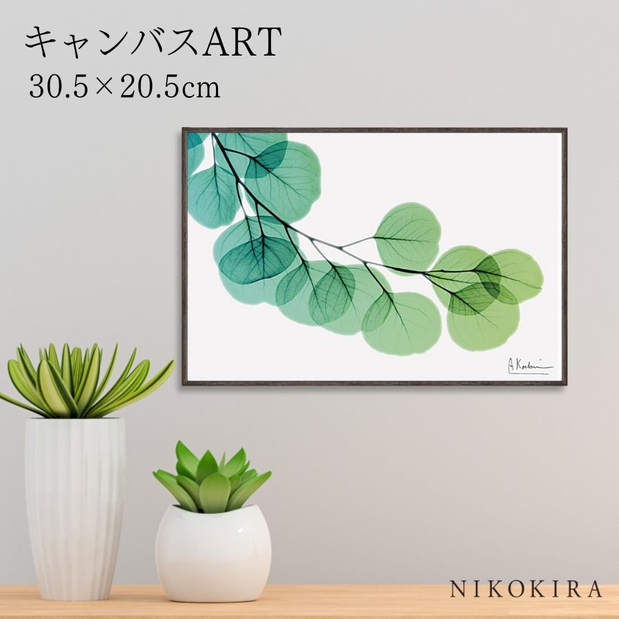 【LINE登録300円OFFクーポン】 絵画 アート アートパネル アートポスター 名画 X RAY キャンバスアート ユーカリ Sサイズ アルバート クーツィ...