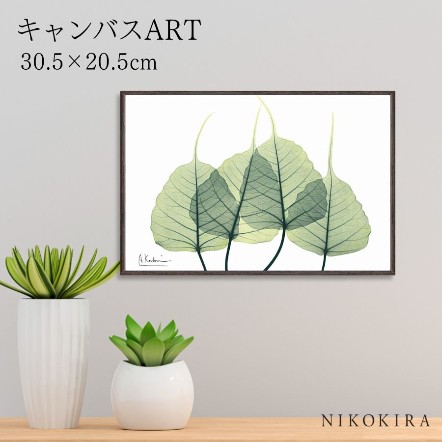 【LINE登録300円OFFクーポン】 絵画 アート アートパネル アートポスター 名画 X RAY キャンバスアート リーフ3 Sサイズ アルバート クーツィ...