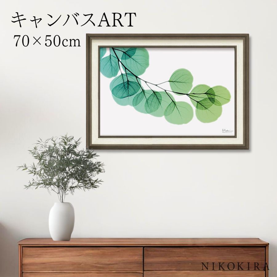 【LINE登録300円OFFクーポン】 絵画 アート アートパネル アートポスター 名画 X RAY キャンバスアート ユーカリ Mサイズ アルバート クーツィ...