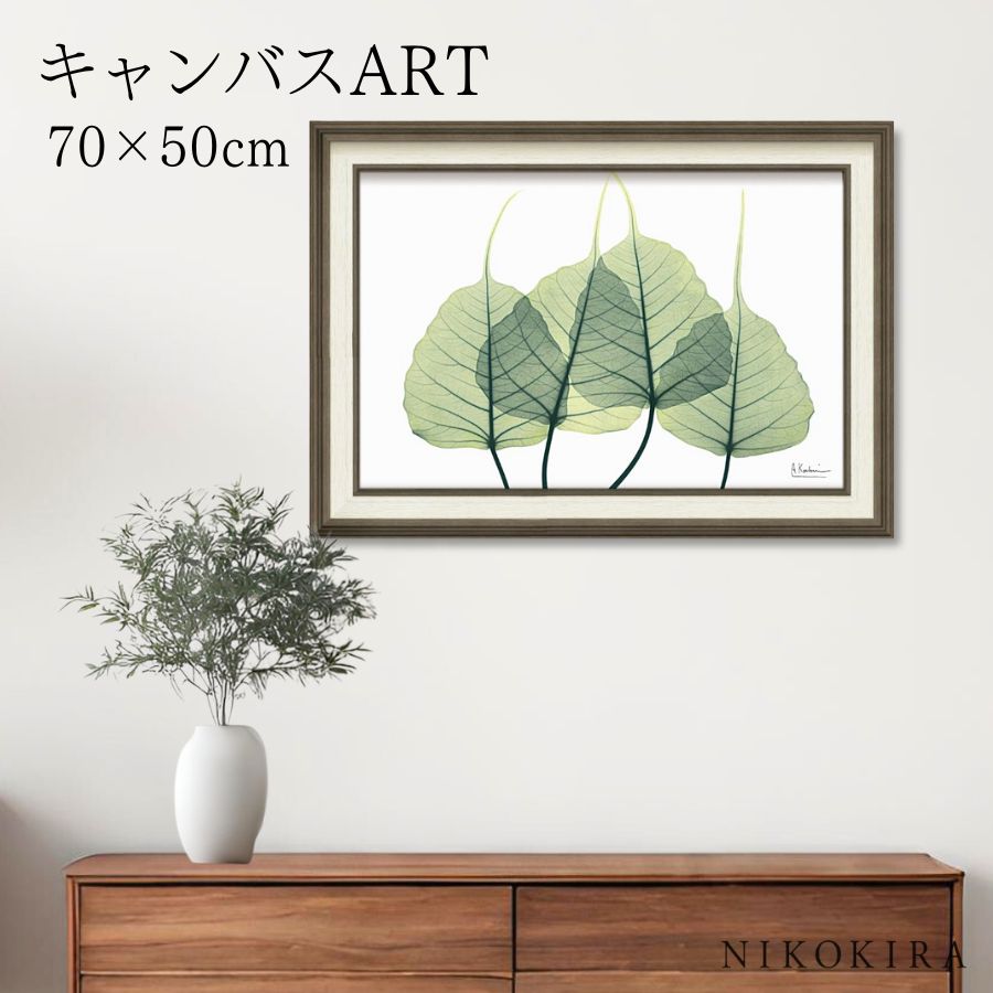 【LINE登録300円OFFクーポン】 絵画 アート アートパネル アートポスター 名画 X RAY キャンバスアート リーフ3 Mサイズ アルバート クーツィ...