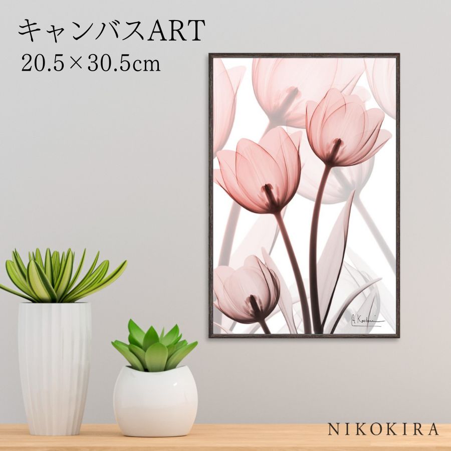 【LINE登録300円OFFクーポン】 絵画 アート アートパネル アートポスター 名画 X RAY キャンバスアート ラスター チューリップ Sサイズ アルバ...