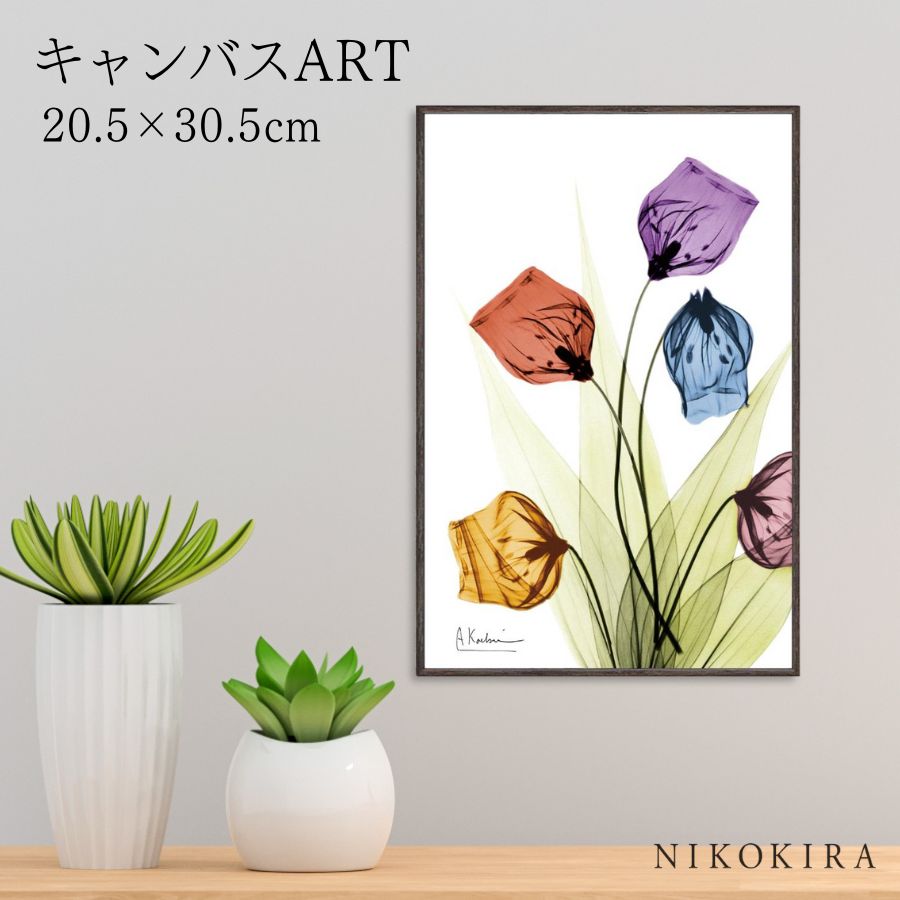 【LINE登録300円OFFクーポン】 絵画 アート アートパネル アートポスター 名画 X RAY キャンバスアート サンダーソニア Sサイズ アルバート ク...