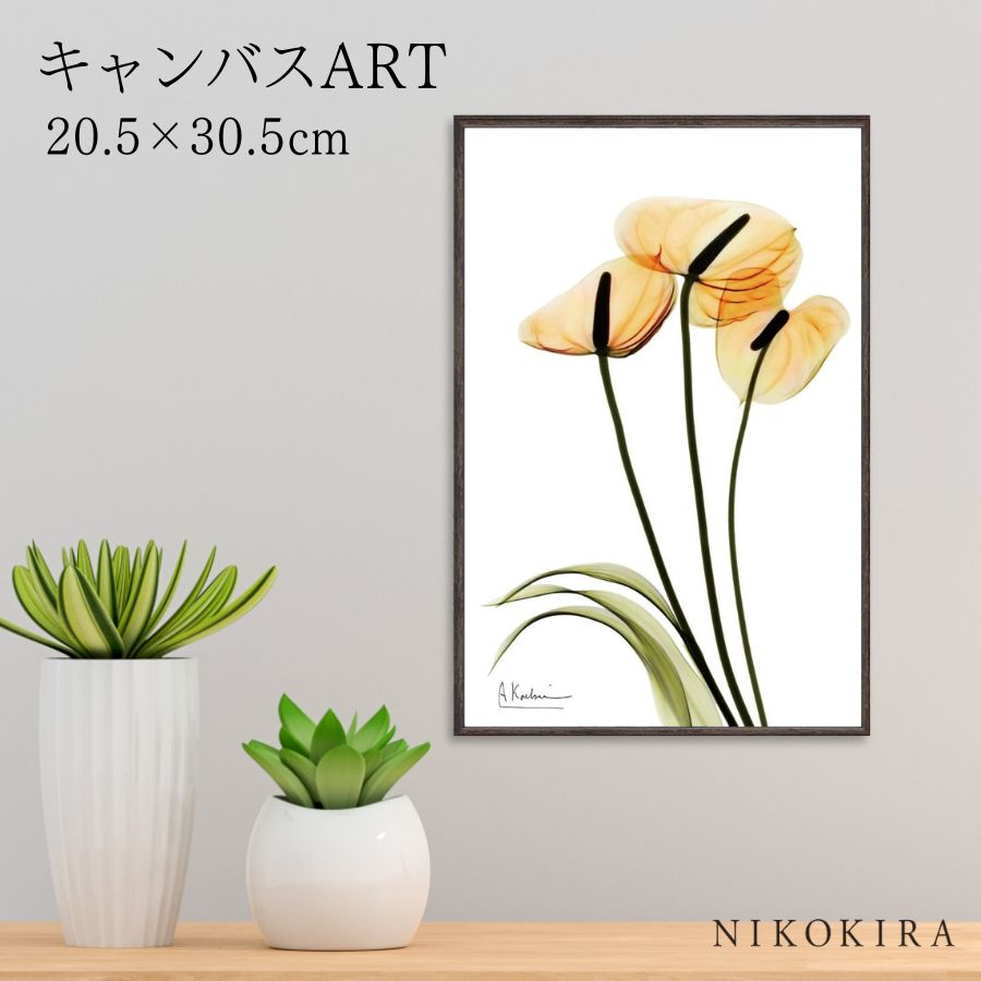 【LINE登録300円OFFクーポン】 絵画 アート アートパネル アートポスター 名画 X RAY キャンバスアート アンスリウム Sサイズ アルバート クー...