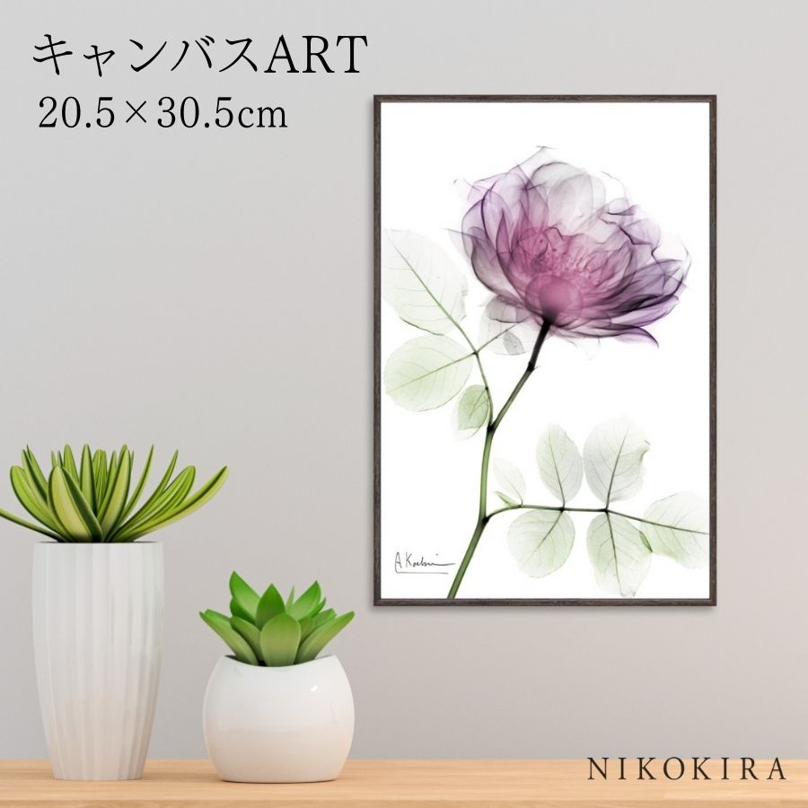 【LINE登録300円OFFクーポン】 絵画 アート アートパネル アートポスター 名画 X RAY キャンバスアート ラウンドローズ Sサイズ アルバート ク...