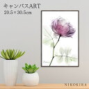 【P5倍+400円OFFクーポン】 絵画 アート アートパネル アートポスター 名画 X RAY キャンバスアート ラウンドローズ Sサイズ アルバート クーツ...