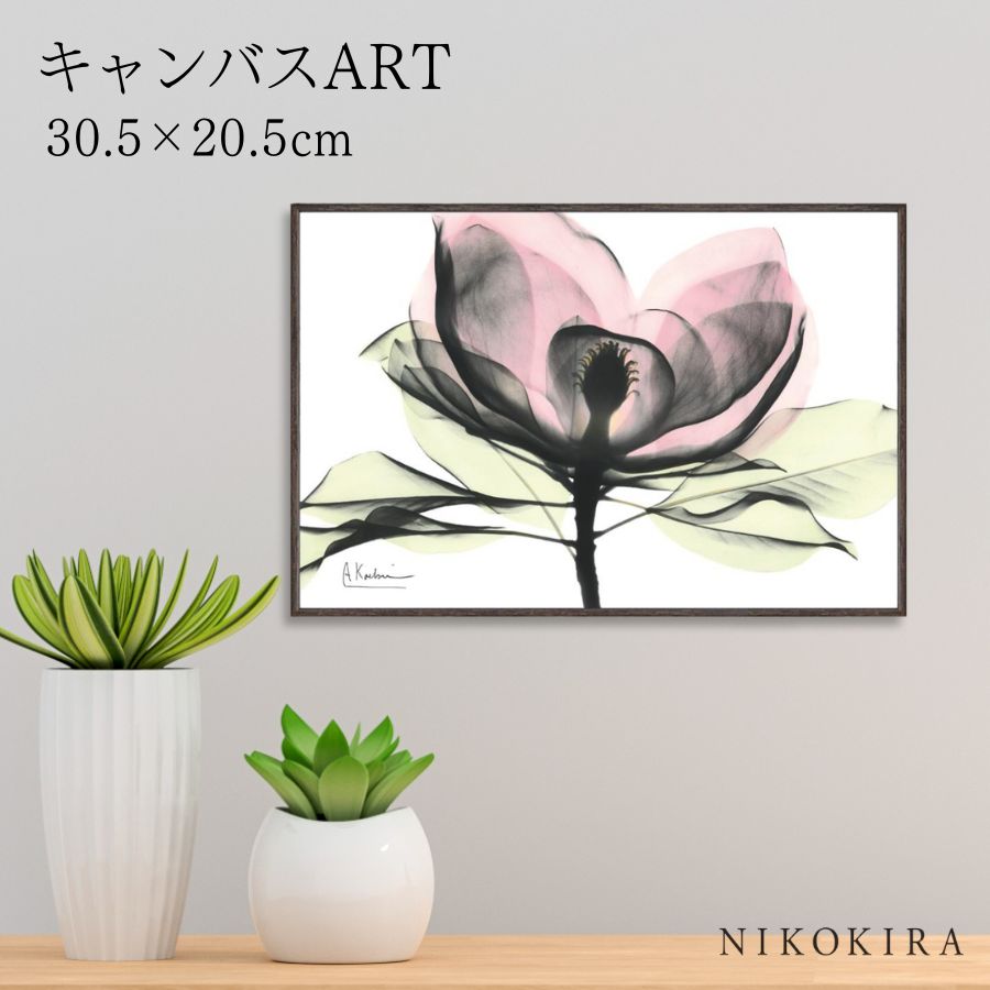 【LINE登録300円OFFクーポン】 絵画 アート アートパネル アートポスター 名画 X RAY キャンバスアート ピンクマグノリア Sサイズ アルバート ...