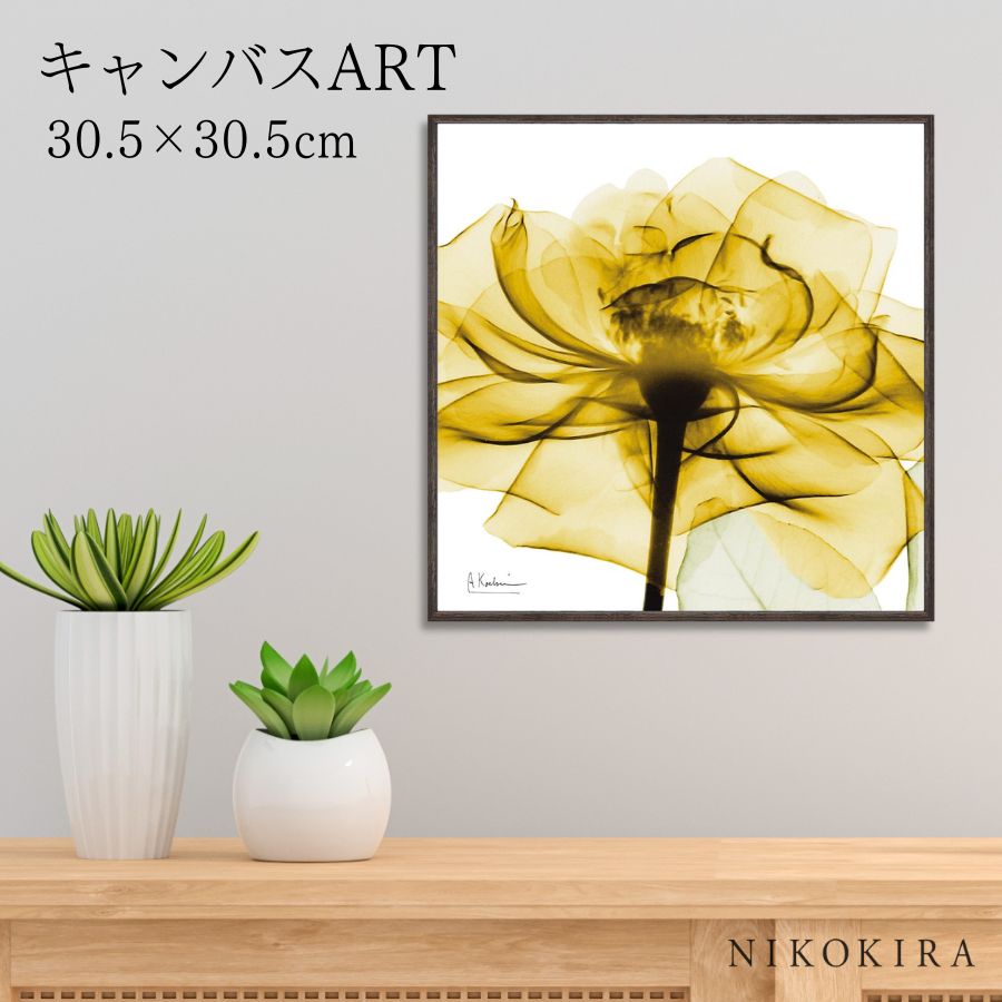 【LINE登録300円OFFクーポン】 絵画 アート アートパネル アートポスター 名画 X RAY キャンバスアート ゴールデンローズ スクエアS アルバート...