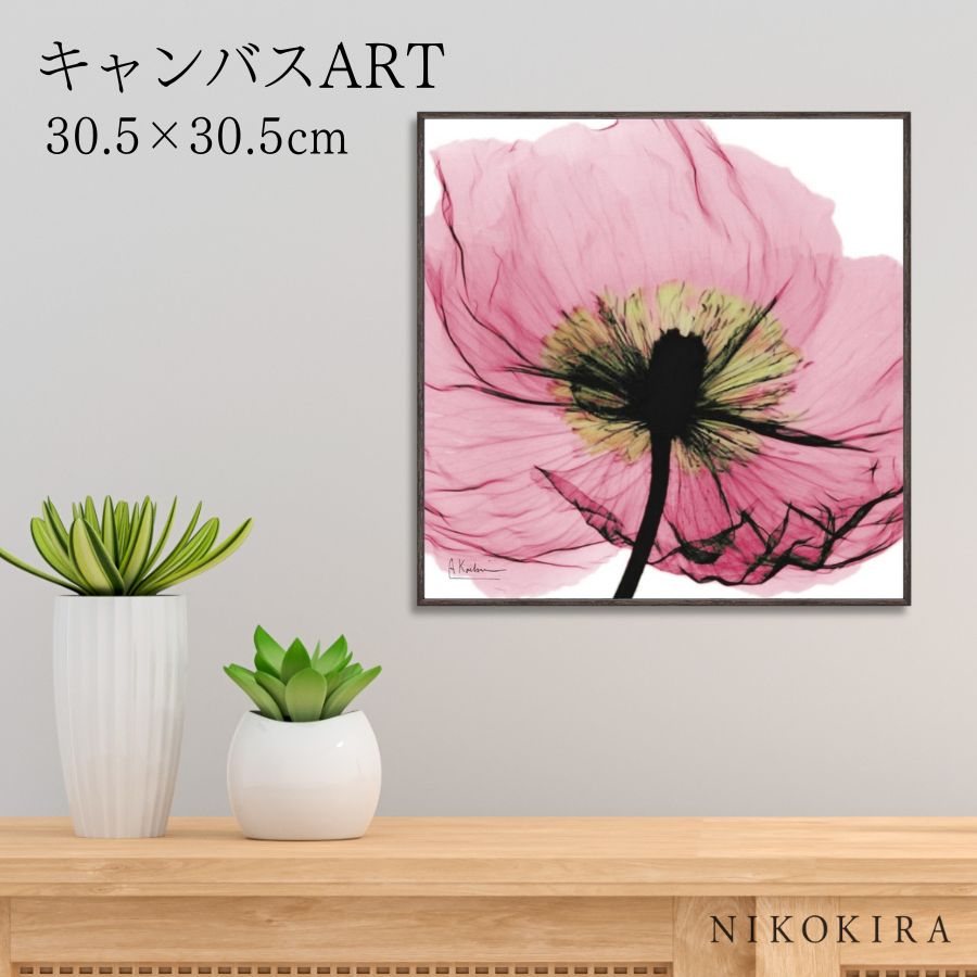 【LINE登録300円OFFクーポン】 絵画 アート アートパネル アートポスター 名画 X RAY キャンバスアート ピンクポピー スクエアS アルバート ク...