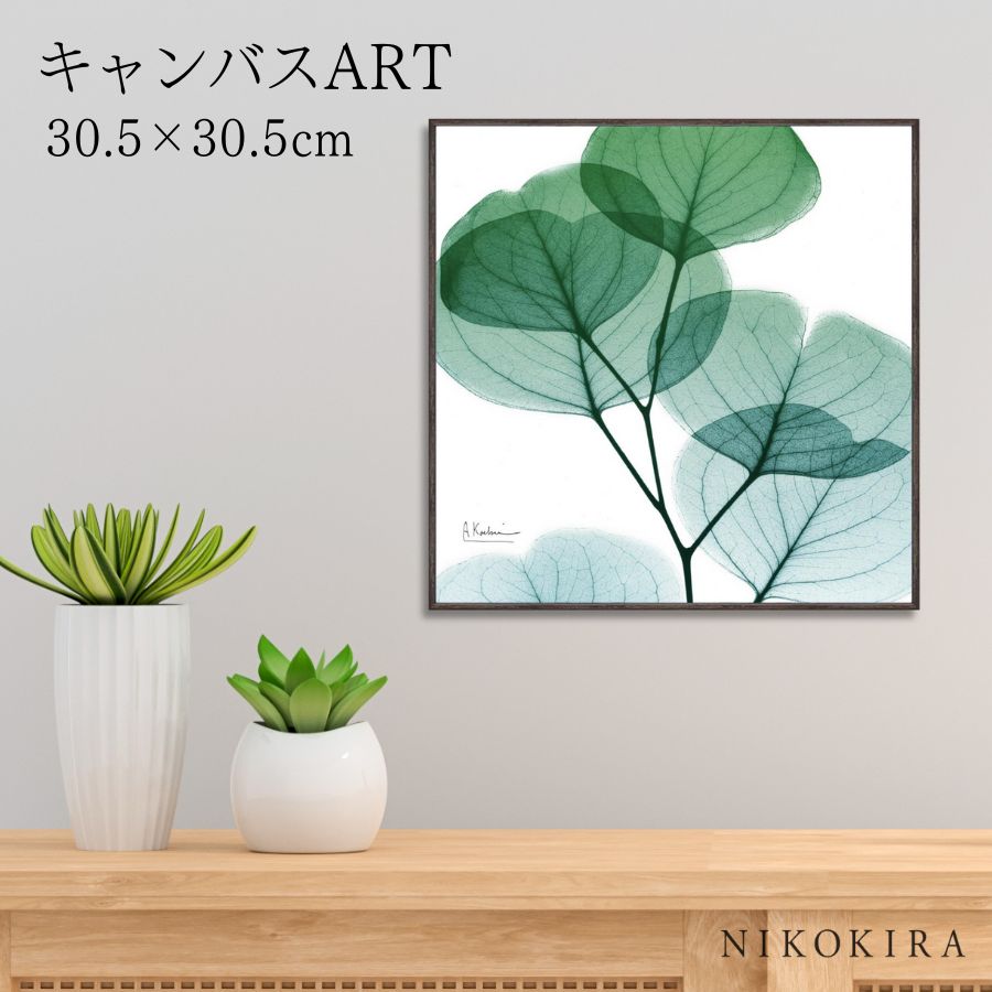 【LINE登録300円OFFクーポン】 絵画 アート アートパネル アートポスター 名画 X RAY キャンバスアート ユーカリメイト スクエアS アルバート ...