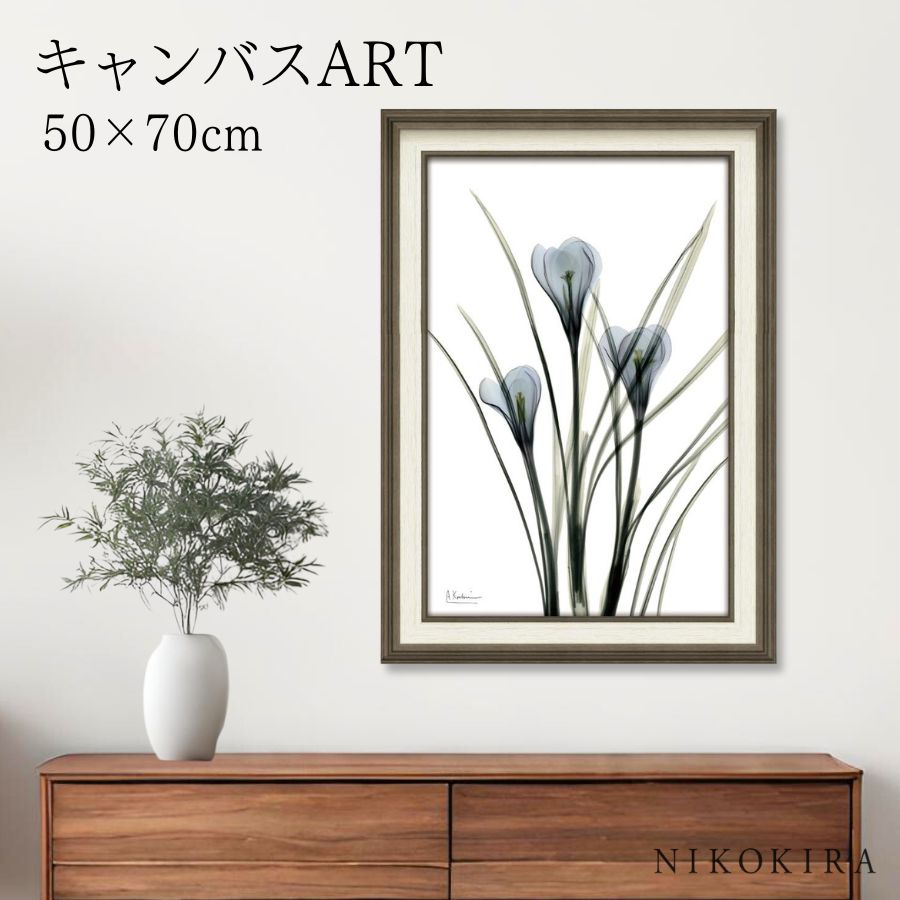 【LINE登録300円OFFクーポン】 絵画 アート アートパネル アートポスター 名画 X RAY キャンバスアート クロッカス Mサイズ アルバート クーツ...
