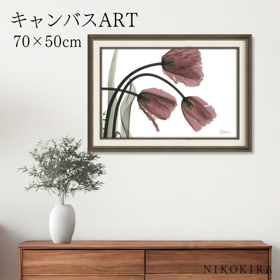 【LINE登録300円OFFクーポン】 絵画 アート アートパネル アートポスター 名画 X RAY キャンバスアート フリンジチューリップ Mサイズ アルバー...