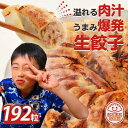 冷凍生餃子192個 餃子 生餃子 ぎょうざ ギョウザ ギョーザ 冷凍食品 食品 惣菜 中華惣菜 点心 中華 中華点心 大人気冷凍商品 送料無料 プレゼント 人気