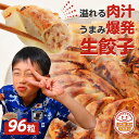 冷凍生餃子96個 一龍堂 餃子 生餃子 ぎょうざ ギョウザ ギョーザ 冷凍食品 食品 惣菜 中華惣菜 点心 中華 中華点心 大人気冷凍商品 送料無料 プレゼント 人気