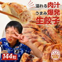 冷凍生餃子144個 餃子 生餃子 ぎょうざ ギョウザ ギョーザ 冷凍食品 食品 惣菜 中華惣菜 点心 中華 中華点心 大人気冷凍商品 送料無料 プレゼント 人気