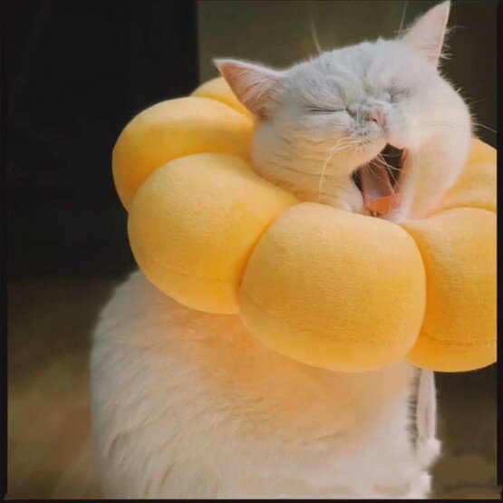 ���˥ޥ�ͥå��� ǭ �� �˥å� �ԥ� �ե�������� �ڥå��ѥͥå��� ���ꥶ�٥����顼 ��ñ���� ���եȥ��ꥶ�٥� ���� ���餫�� �Ҥä����ɻ� �Ѹ奱�� �٥뷿 ������ �淿�� �緿��