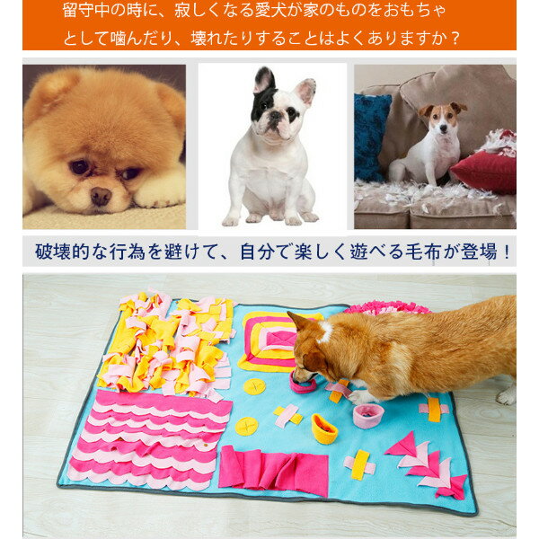   ǭ  ڥå ư­ Ρ ɡŤޤ ¥ޥå ̳г ͷӾ ϸ ȥ쥹 ʬΥ԰ к ե ...