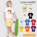 半袖tシャツ キッズ 男の子 女の子 こども ユニセックス 子供服 いぬ 犬好き 保育園 運動会 幼稚園 お着替え 綿 夏服 110−150 可愛い...