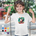 半袖tシャツ おもしろTシャツキッズ 男の子 女の子 こども ユニセックス 子供服 野球 やきゅう 練習着 ふざけtシャツ 保育園 運動会 幼稚園 お着替え 夏...