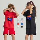 半袖tシャツ Tシャツキッズ 男の子 女の子 こども ユニセックス ブルー 子供服 保育園 運動会 幼稚園 お着替え 夏服 大きいサイズTシャツ メンズ レディース 綿 コットン カットソー ブランド スポーツ 白 黒 赤 黄 送料無料