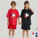 半袖tシャツ Tシャツキッズ 男の子 女の子 こども ユニセックス ブルー 子供服 保育園 運動会 幼稚園 お着替え 夏服 大きいサイズTシャツ メンズ レディース 綿 コットン カットソー ブランド スポーツ 白 黒 赤 黄 送料無料