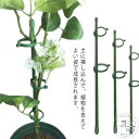 植物園芸用品 盆栽用 支柱パーツ 植物支柱 園芸 支柱 観葉支柱 支柱 鉢植え 誘引作業 スライド支柱ぐんぐんリング 5枚固定ボタン付き 園芸用品 植木鉢サポー...