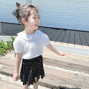 「50%OFFクーポン」新生活 子供 半袖 シャツ 女の子 夏服 可愛い キッズ シャツ ブラウス 襟付き ベビー服 トップス 無地 キッズ 普段着 通園 通学 幼児 ベビー服 カジュアル シャツ 薄手 ガールズ 80cm 90cm 100cm