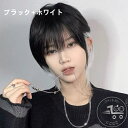 新生活 ウィッグ ハロウィン フルウィッグ コスプレ カツラ 自然 原宿 姫髪 つけ毛 かつら ネット付き 日常 メンズ 小顔効果抜群 パーディー アニメ 自然 ファッションウィッグ セミロング フルウィッグ ショート 男性 メンズウィッグ