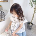 「50%OFFクーポン」新生活 ベビー服 半袖 シャツ 夏服 女の子 可愛い キッズ シャツ トップス ベビー シャツ 可愛い キッズ 普段着 通園 通学 ベビー服 カジュアル シャツ 薄手 普段着 ガールズ 80cm 90cm 100cm 110cm 120cm