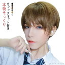 フルウィッグ かつら メンズ ウィッグ 男装 男性 コスプレ ショート 自然 カツラ ミディショート レディース 鬘 黒 茶 ブラック ブラウン ウィッグネット...